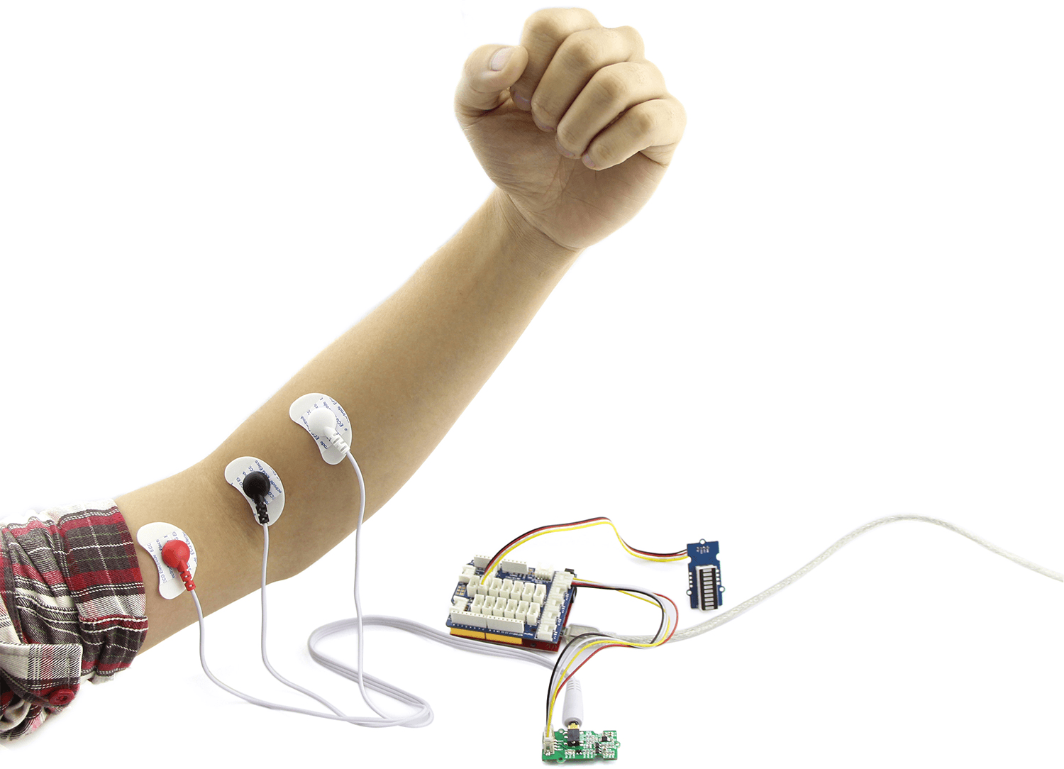 EMG Diagram